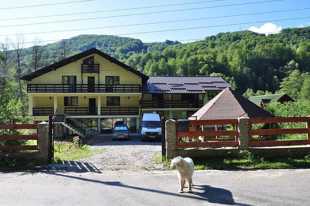 Pensiunea Ciobanelu Malaia Esterno foto